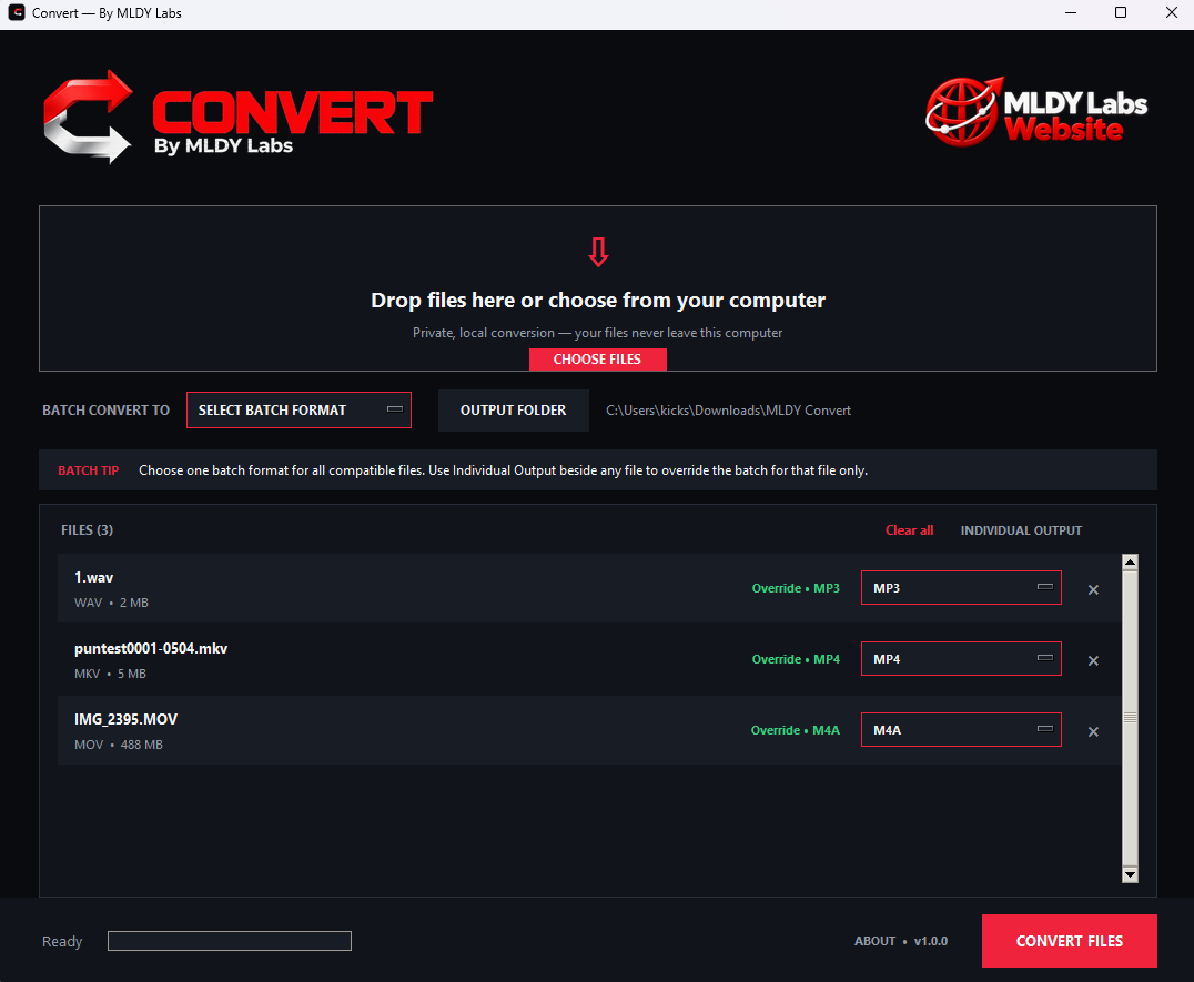 MLDY Convert application interface